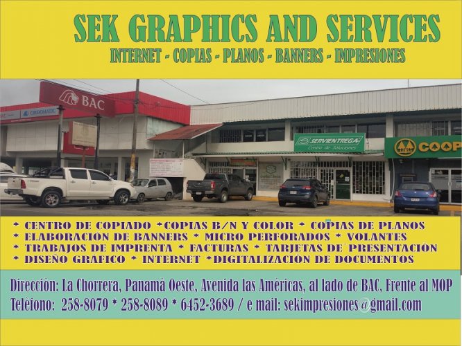 Opinión Experta: Servicios de Diseño Gráfico SEK